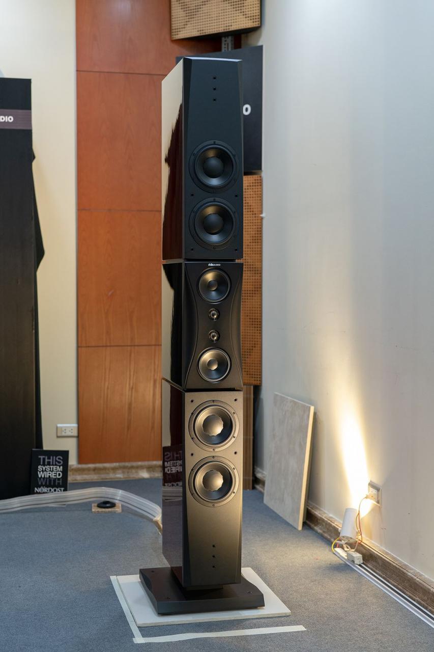 Cùng đại diện Dynaudio tìm hiểu trước dòng loa New Confidence ảnh 2
