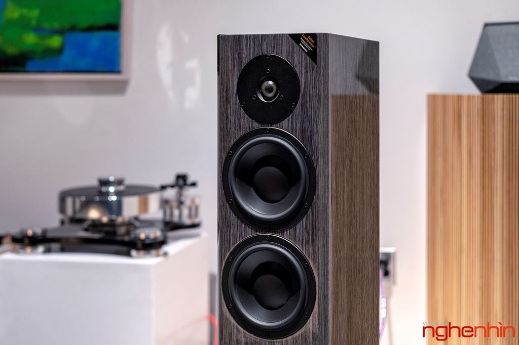 Hifi World giới thiệu Dynaudio Focus 30 XD: giải pháp âm thanh không dây cho gia đình ảnh 2