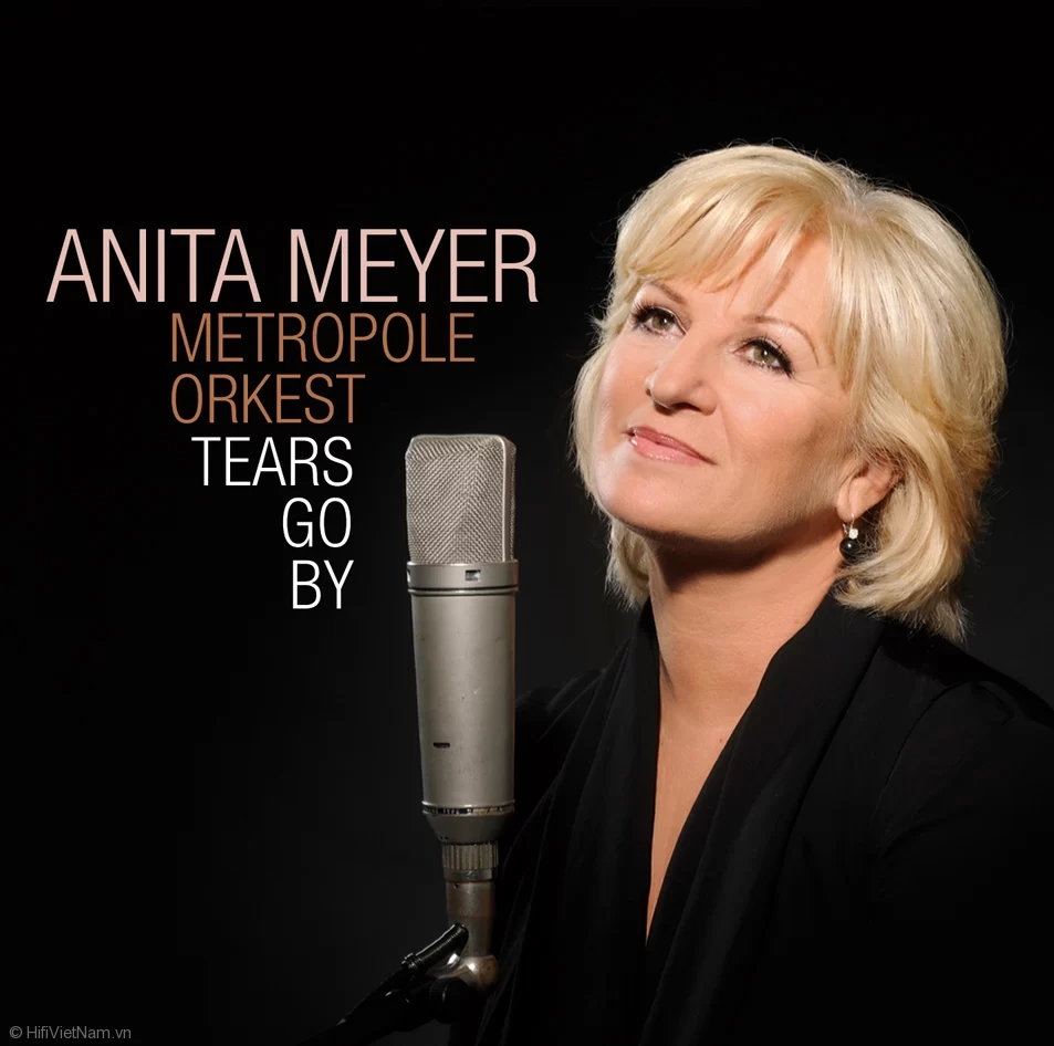 Tears Go By – Anita Meyer