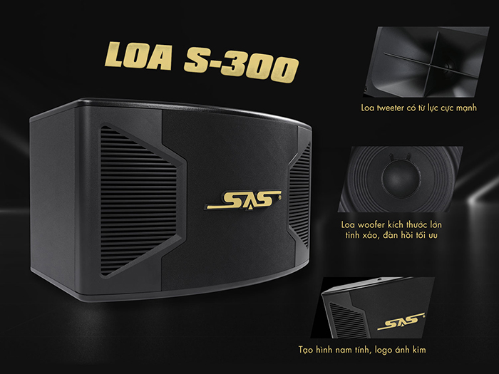 Paramax SAS S 300.