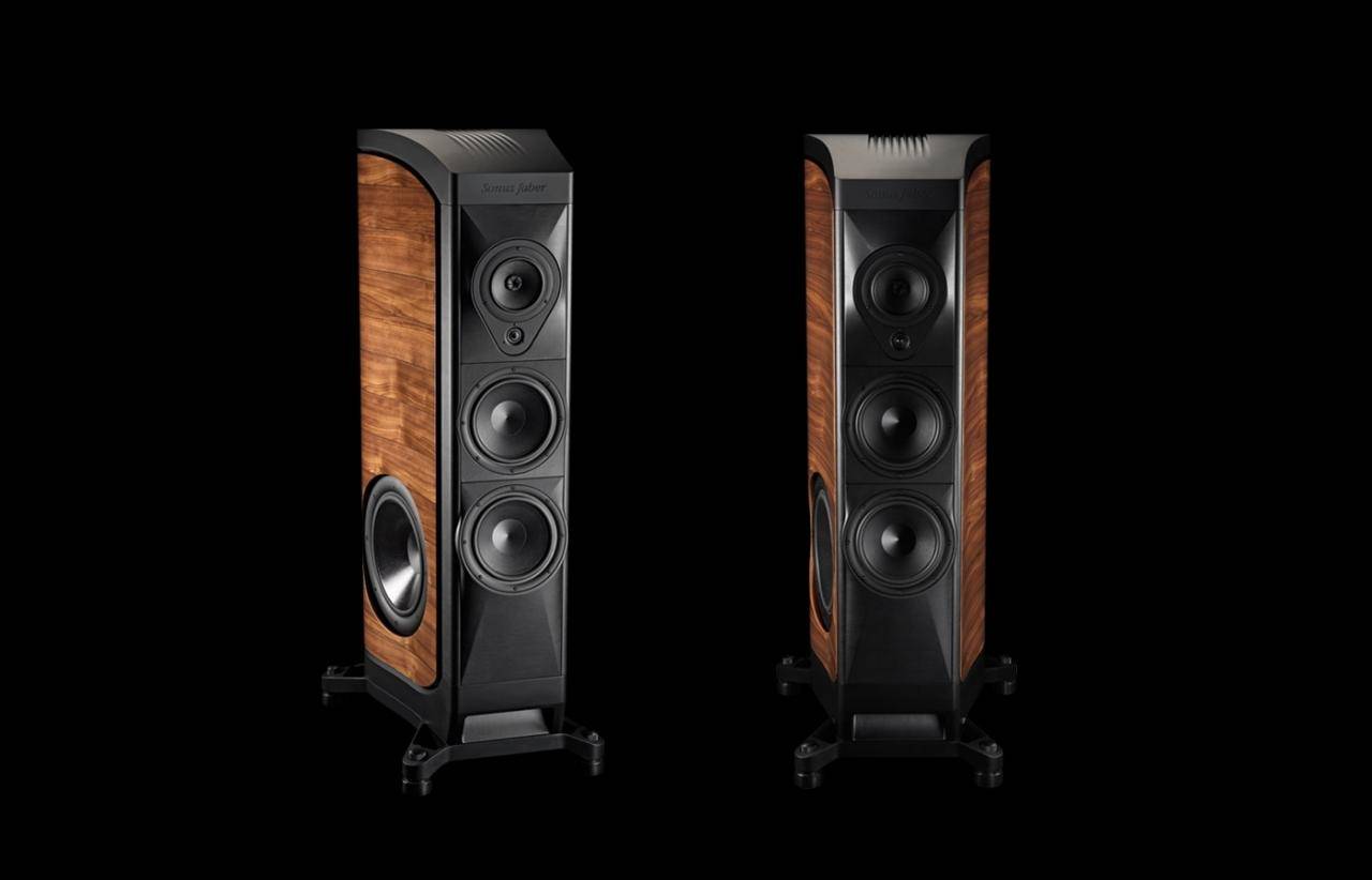 dong loa Sonus Faber Limited Edition can canh