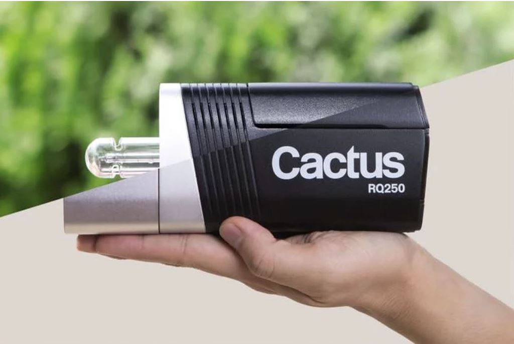 Cactus RQ250 - đèn studio nhỏ gọn với khả năng thay đầu tỏa sáng ảnh 1