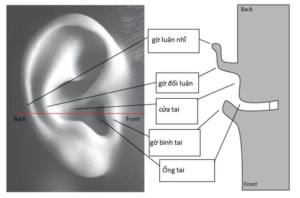 Đang tải tinhte_tai_nguoi.png…