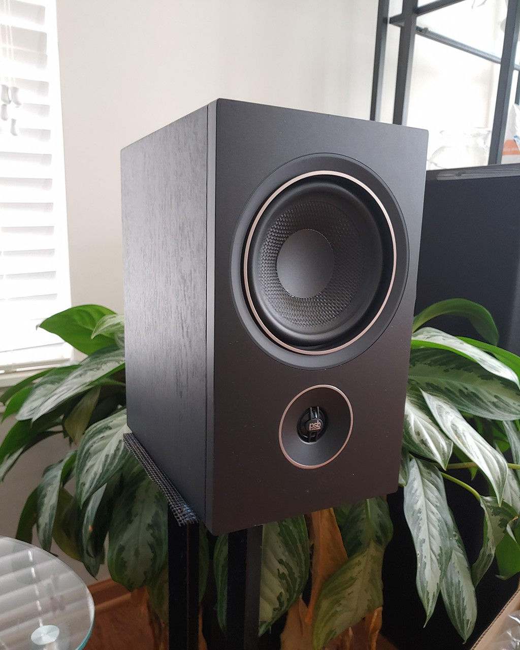 Bookshelf PSB Alpha P5 – Một “món hời” cho audiophile ảnh 2