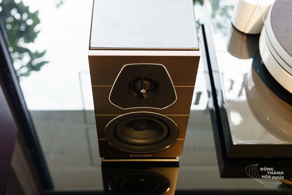 SonusFaber_LuminaI_Dong_Thanh_Hoa_Phuc (4 of 5).JPG