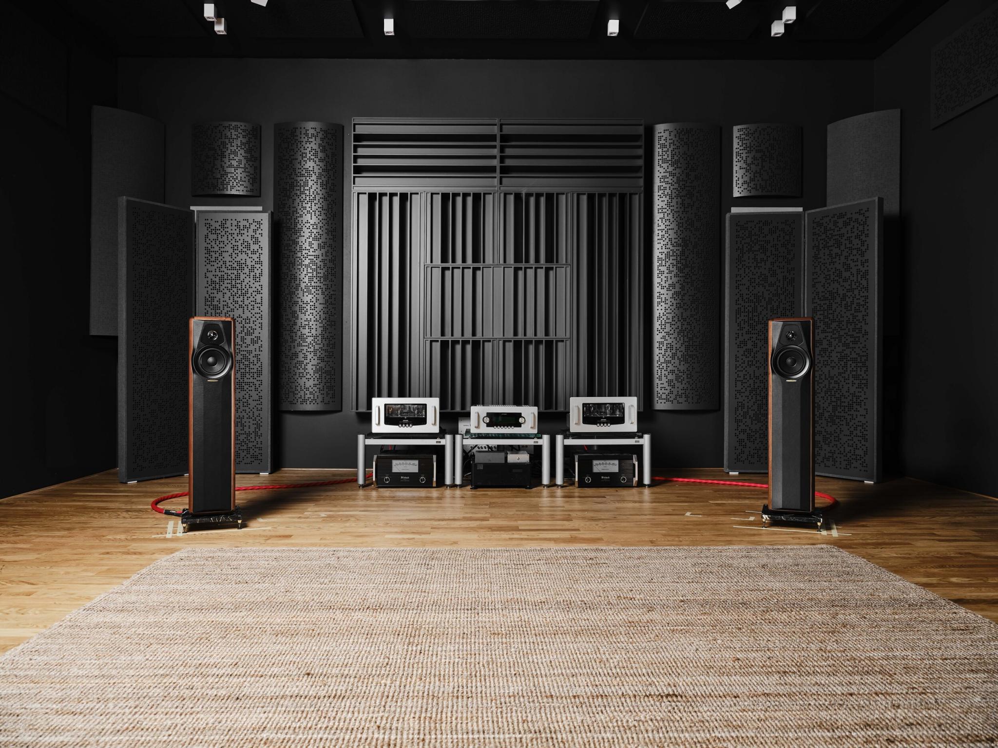 MAXIMA_SONUS FABER_12694-2.JPG