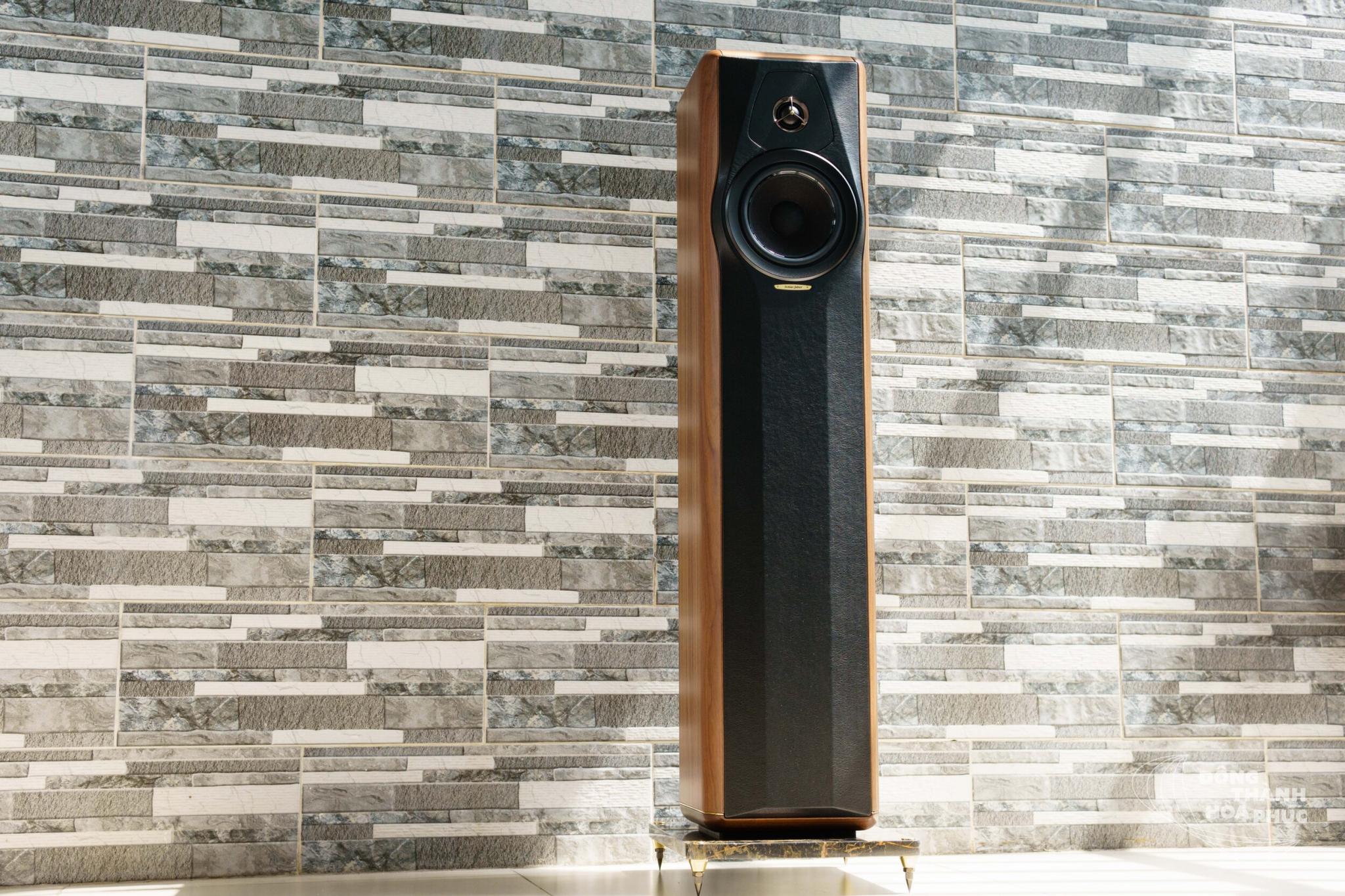 SonusFaber_MaximaAmator_Dong_Thanh_Hoa_Phuc (3 of 15).JPG