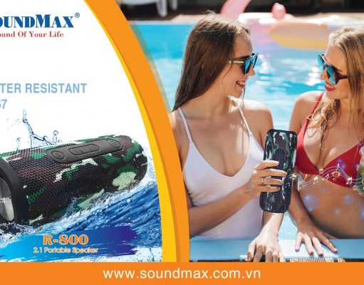 SoundMax R-800: chiến binh bất khả chiến bại