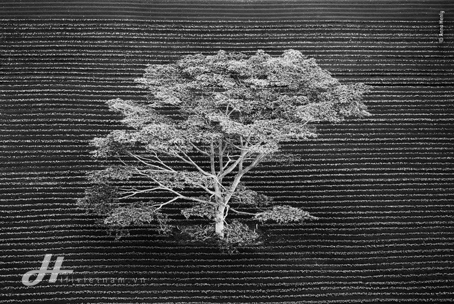 Cùng ngắm những tấm ảnh đẹp nhất trong cuộc thi The Wildlife Photographer of the Year 2018 - Ảnh 1. Cùng ngắm những tấm ảnh đẹp nhất trong cuộc thi The Wildlife Photographer of the Year 2018 - Ảnh 1.