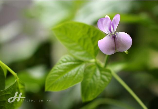 Những cách đơn giản để cải thiện bố cục trong nhiếp ảnh 