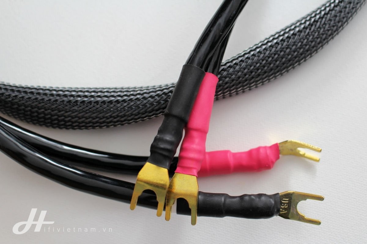 Chia sẻ về các loại jack cắm phổ biến thường thấy khi chơi loa