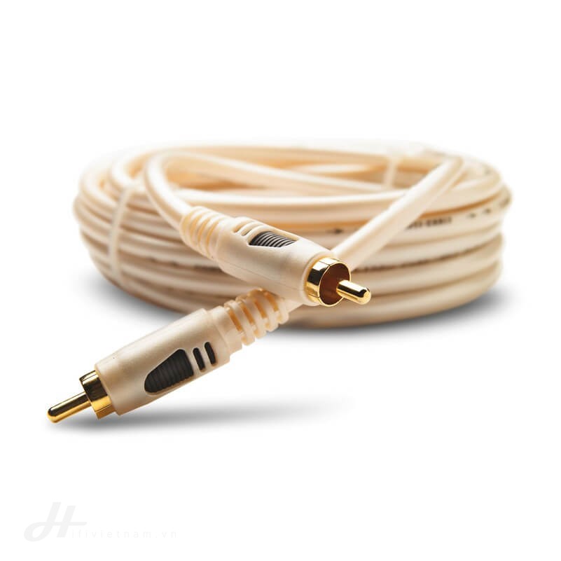 dòng dây focal dep