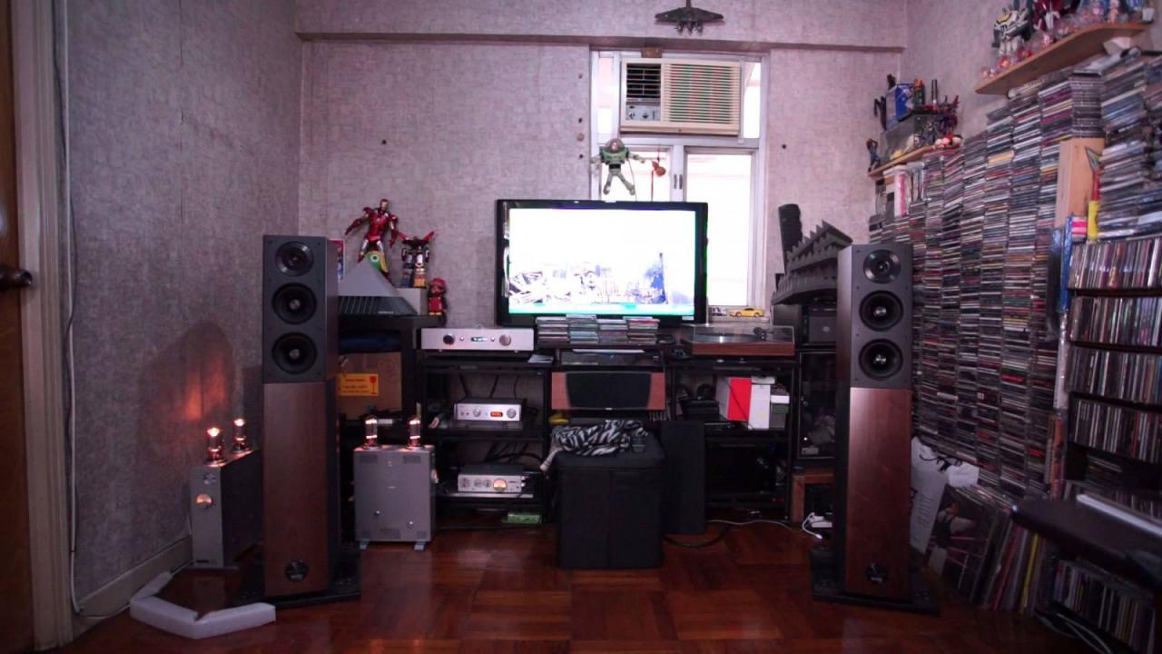 loa Audio Physic Avantera plus+ chat