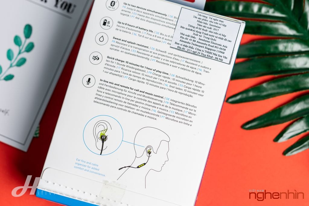 Đánh giá tai nghe không dây Sennheiser CX Sport: thể thao, nghe đa dạng ảnh 3