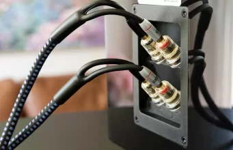 Đấu cùng lúc hai ampli vào một loa có được không?